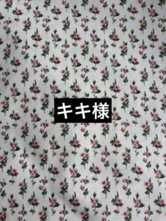 Item thumbnail for item 952c3f2e-88e6-4a04-81d7-9fd5a2b7fdee