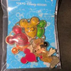 Disney 30周年記念チャーム ミッキー Y 30