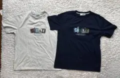 【クロコダイル】プリントTシャツ 3枚セット