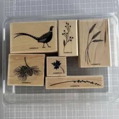 Item thumbnail for item 1e904e48-2072-4b04-bb89-b462dcc172bc