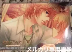水嶋新　岸尾だいすけ② animatecafe『金色のコルダ３』ブロマイド