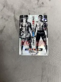激レア RIZIN28那須川天心サイン 対戦選手ポスター 2025年最新】那須川天心 ポスターの人気アイテム - メルカリ