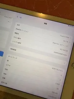 iPad Pro (9.7インチ) ゴールド 256GB