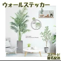 ウォールステッカー 観葉植物 おしゃれ 　北欧　植物　壁紙　シール　自然