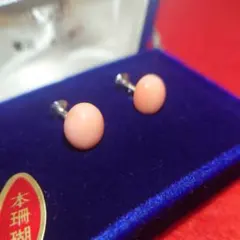 本珊瑚 イヤリング 出口サンゴ加工 専用ケース付き