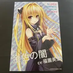 透視クリアファイル　当選品　懸賞品　ToLOVEる　トラブル　金色の闇　ヤミ 限定】ToLOVEる ダークネス ジャンプフェスタ 限定 クリアファイル