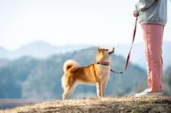 Item thumbnail for item a51d0119-f8db-43e5-a5eb-0ef8f69501d2