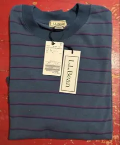 Item thumbnail for item 8287c859-aa34-48f7-88b0-3617d3947d30