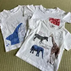 半袖　Tシャツ　３枚セット　白　100サイズ　サメ　動物　綿100%