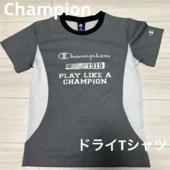 Champion 150 Tシャツ グレーのサムネイル