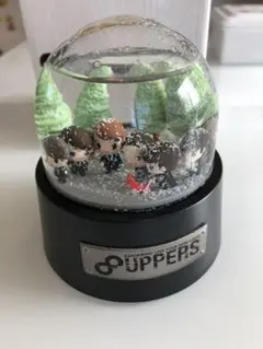 関ジャニ∞ 8UPPERS スノードーム 未使用