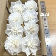 ソラフラワー用ソラシート 幅11cm 20g - メルカリ