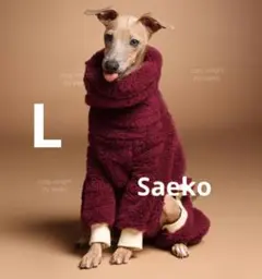 Item thumbnail for item ef84dde4-1c8e-4be1-a6a1-abdb35fdfd63