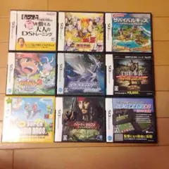 DSカセット8個 サバイバルキッズ以外