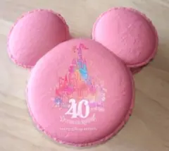 【新品】東京ディズニーランド 40周年 ミッキーマカロンケース