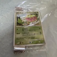 ポケモンカード　《マスキッパ》　プロモ　Meiji 未開封のサムネイル