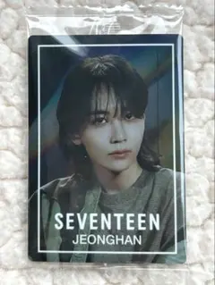SEVENTEEN ジョンハン ステッカー