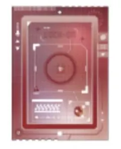 fanfancy+ AGF 2025 FUKUYA グラビティシップ