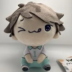 ハイキュー！！もちぴこぬいぐるみ及川徹　15cm