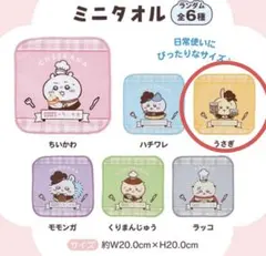 【新品】ココス×ちいかわ　第2弾　ミニタオル