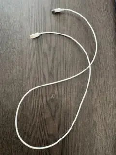 Type-Cケーブル(Apple純正品)