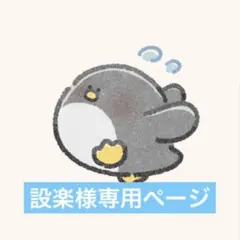 設楽様専用ページ