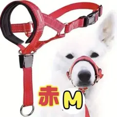 Item thumbnail for item ce3b7c57-72c0-4c6f-9de0-1bfcccbdbe00