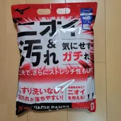 Mizuno 野球ユニフォームパンツ ガチパンツ XO(3L) 新品