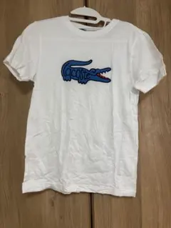lacoste xs