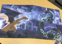 y*i様 ポケモンカードコレクションファイル　※リフィル傷や汚れあり