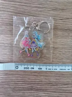 わんだふるぷりきゅあ　ボーカルベスト　楽天ブックス特典アクリルキーホルダー