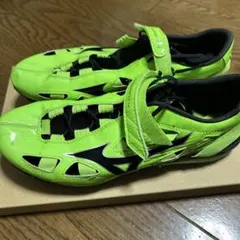 Item thumbnail for item 1a37de66-49ee-482e-a755-c99b2741eddf