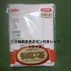 Item thumbnail for item fe69b7c3-5829-44a7-b2c8-51e1189ab910