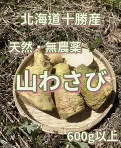 ⑨北海道十勝産天然山わさび・蝦夷ワサビ無農薬旨辛のサムネイル