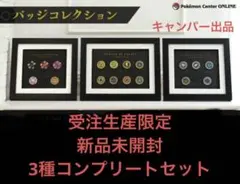 2025年最新】ポケモン バッジ チャンピオンロードの人気アイテム