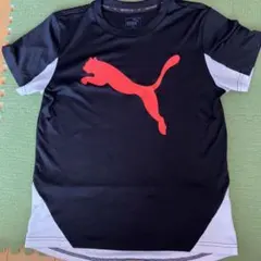 PUMA 黒 赤 Tシャツ 150サイズ