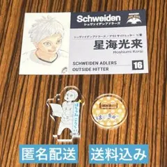 ハイキュー アクリルminiフィギュア 名刺 星海光来 幼少期 ファンパーク
