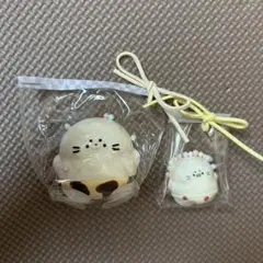 あざらしパンツ スクイーズ