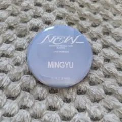 SEVENTEEN MINGYU 缶バッジ NEW