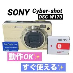 SONY Cyber-Shot DSC-W570D シルバー 訳あり SONY Cyber-Shot DSC-W570D シルバー 訳あり - メルカリ