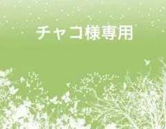 チャコ様専用　パラコードおまとめ