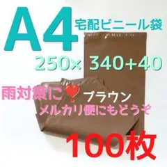 人気のカラー 宅配ビニール袋 a4 かわいい メルカリストア 梱包資材のサムネイル