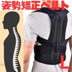 Item thumbnail for item 3c6abe6e-ee0b-4ce5-9bd3-2f3799ae9402