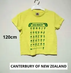 CANTERBURY OF NEW ZEALAND 120cmイエロー Tシャツ