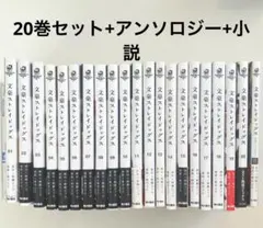 文豪ストレイドッグス 1-20巻セット＋アンソロジー＋小説
