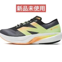 Item thumbnail for item b3eca788-8739-4fc3-b8ca-03d672ee8930