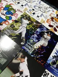 カルビープロ野球チップスカード2025 27枚