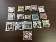 pillows ピロウズ ジャケット 缶バッジ 16種類 コンプリート 全種類 the pillows CDジャケット缶バッジ（ランダム）【販売終了