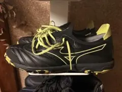 Item thumbnail for item ef47991f-9741-4c87-8120-276479545590