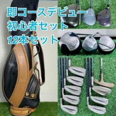 レディース ゴルフクラブ フルセット ゼクシオ入り 12本 初心者 D3758